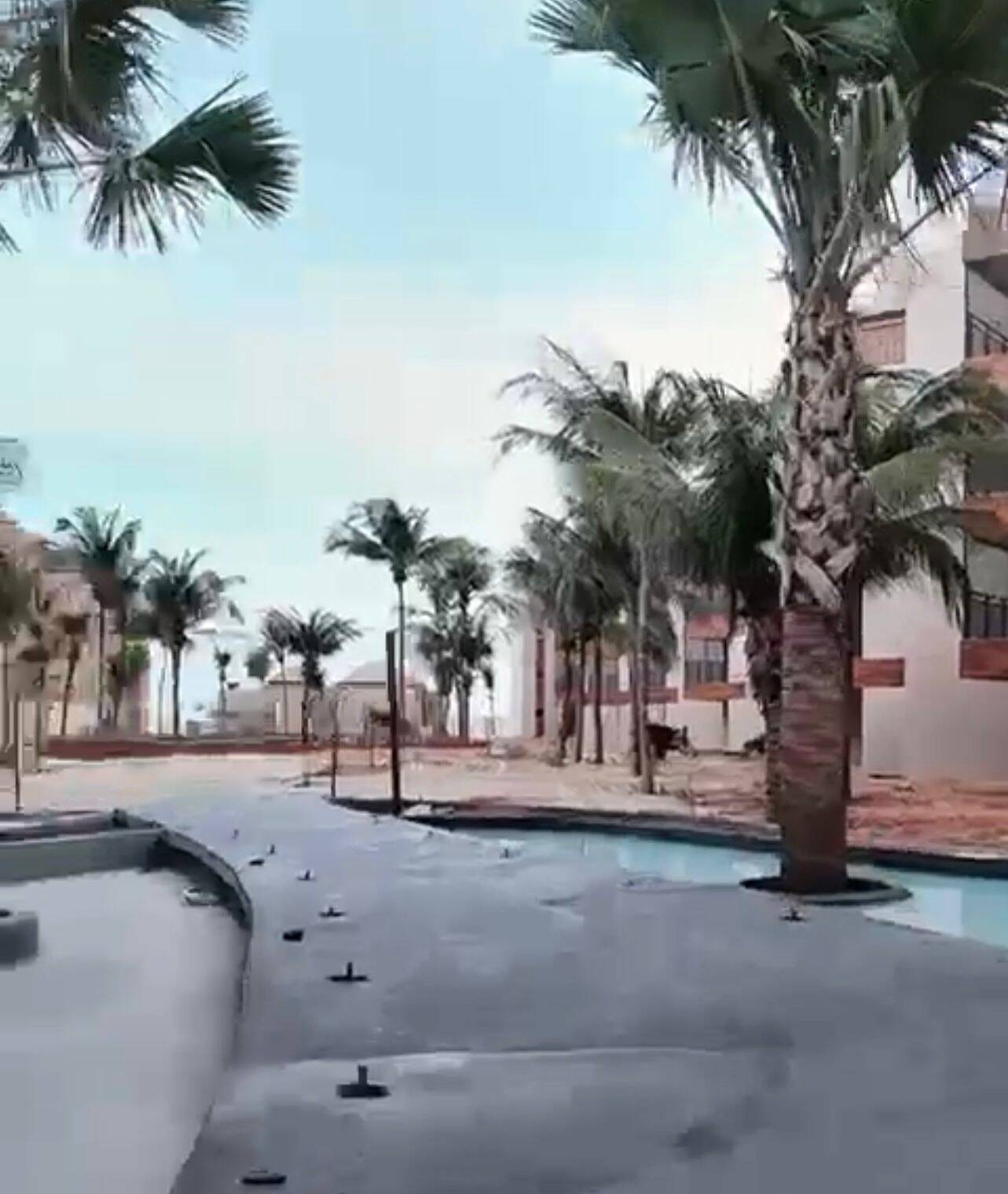Apartamento, 2 quartos, 66 m² - Foto 19